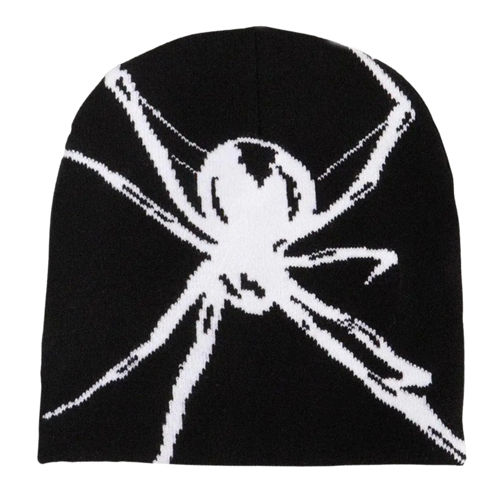 LifeOfStreetwear | Black Y2K Spider Web Beanie
