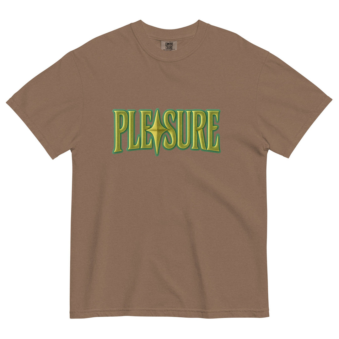 Pleasure Graphic Tee – Men's Heavyweight Cotton T-Shirt
